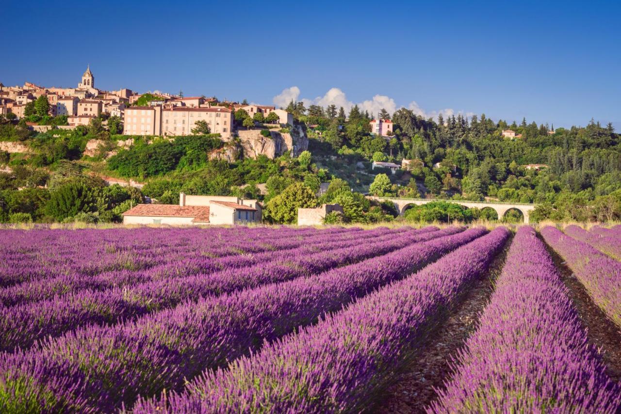 Ferienwohnung Provence Now Cabrières-dʼAvignon Exterior foto