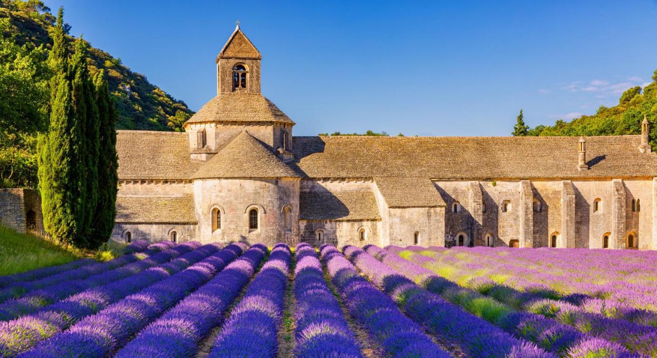 Ferienwohnung Provence Now Cabrières-dʼAvignon Exterior foto
