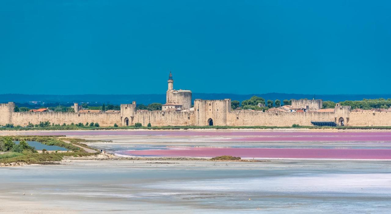 Ferienwohnung Provence Now Cabrières-dʼAvignon Exterior foto